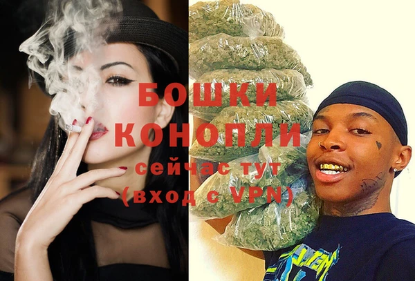 шишки Осташков