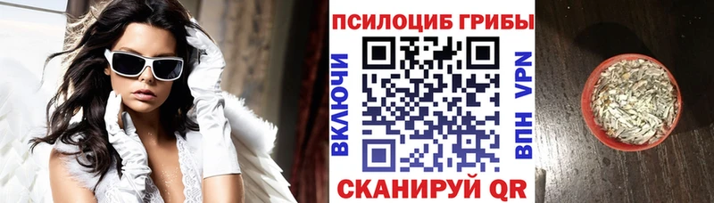 Псилоцибиновые грибы MAGIC MUSHROOMS  дарнет шоп  Отрадный 